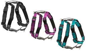 PetSafe 3 in 1 Harness Large Teal