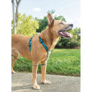 PetSafe 3 in 1 Harness Large Teal