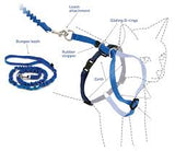 PetSafe Come With Me Kitty Harness Large Blue