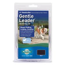 Gentle Leader Small Blue